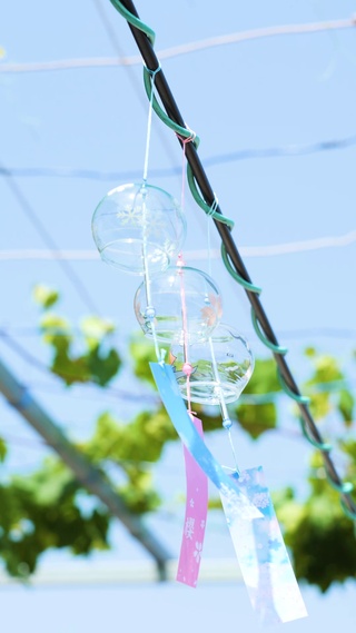 夏日风铃