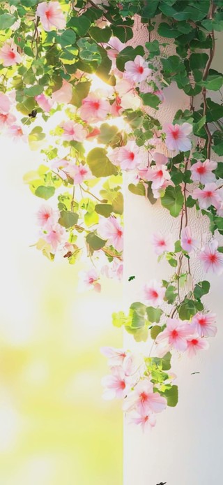 护眼花景