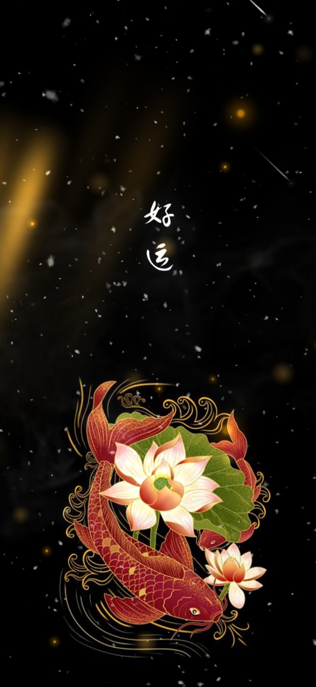 好运--锦鲤附体