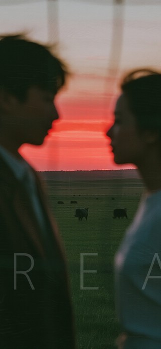 被风割裂的黄昏恋歌