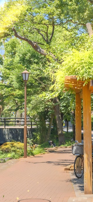 唯美治愈夏日公园