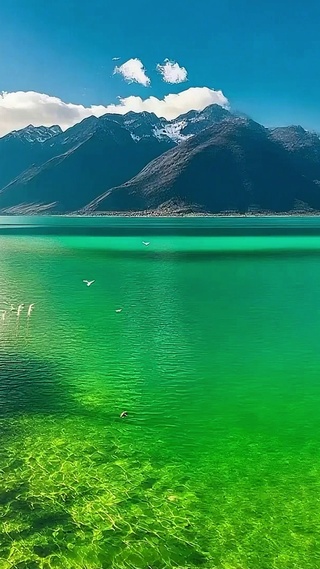 唯美雪山湖泊4K