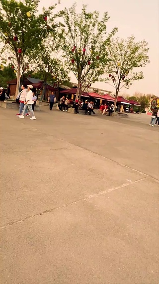 晚霞下的塔寺和花朵
