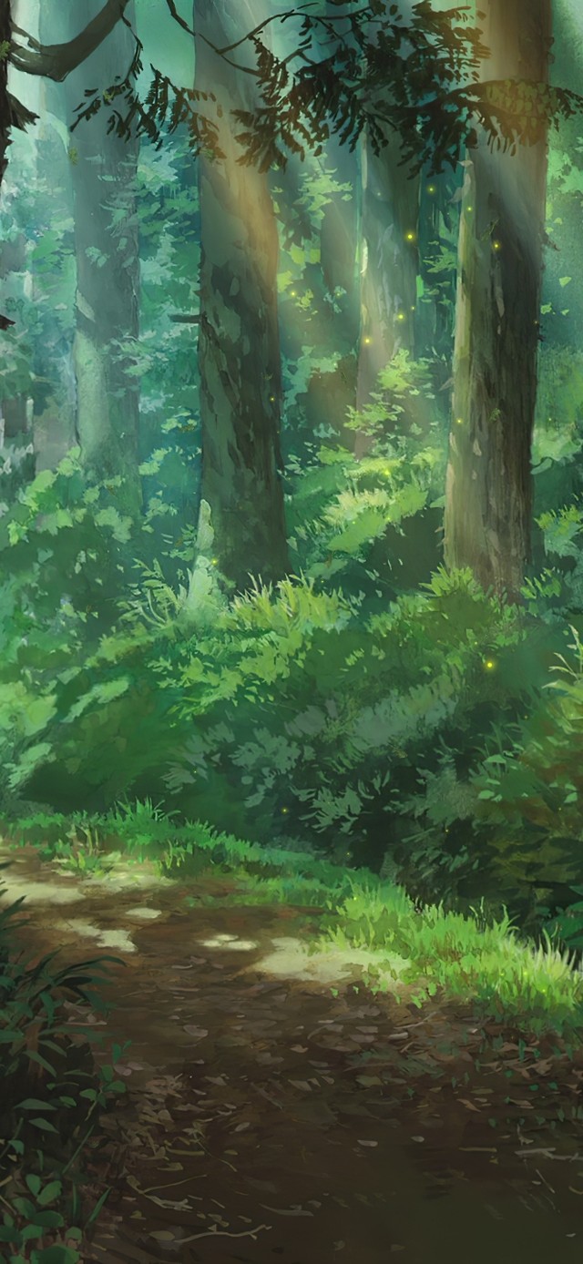 树林小路