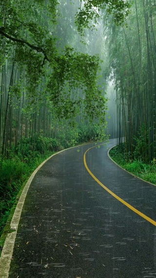 不喜欢下雨天，但喜欢听雨声