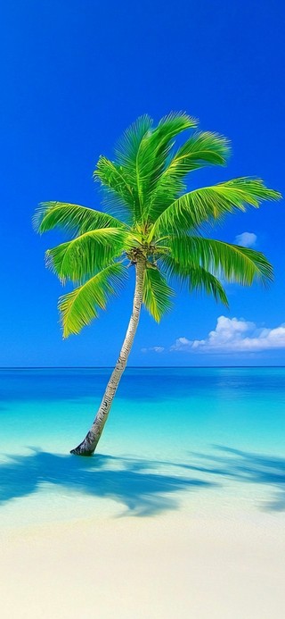 夏日海滩