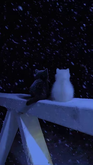 猫 4k