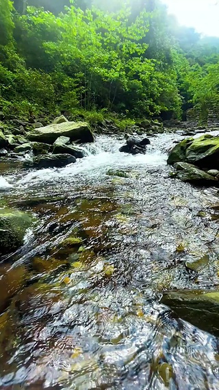 听水流声