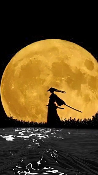 月下武士