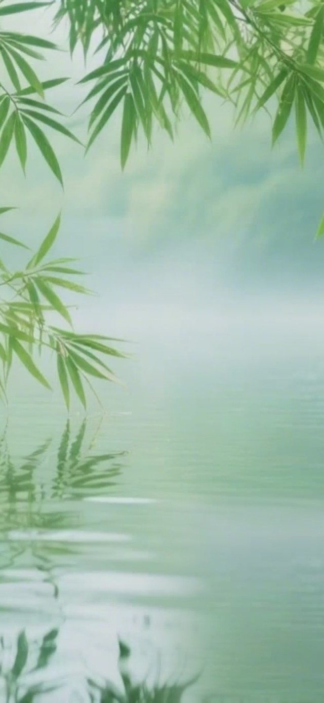 竹