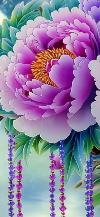 牡丹花开