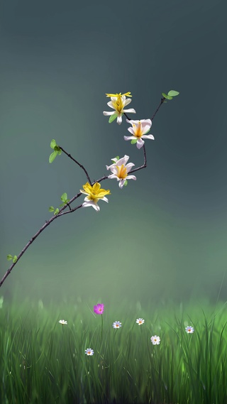 平安花