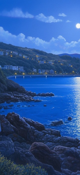 夜晚的岸边