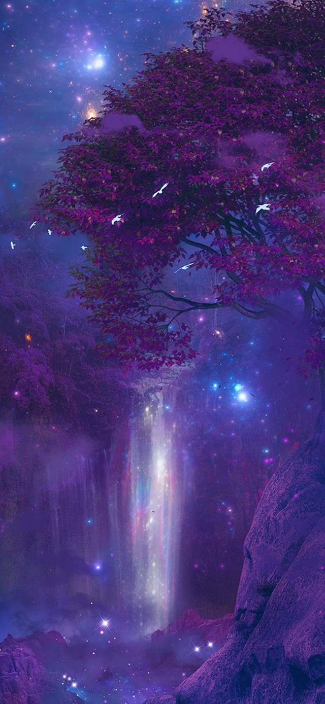 唯美梦幻樱花仙境