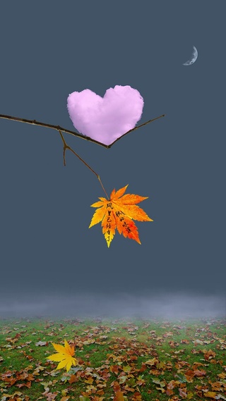 不知不觉已经秋天了