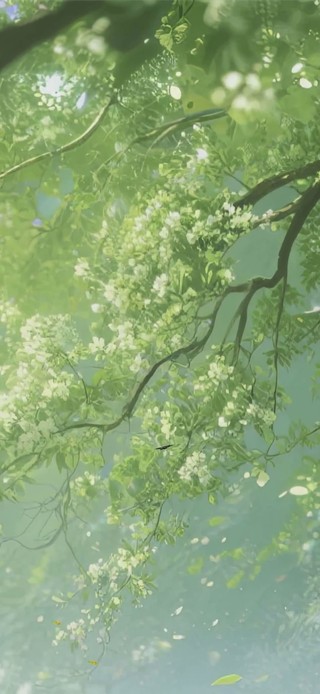 护眼绿景