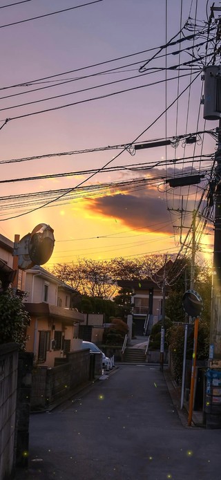 4K 唯美夏日黄昏村庄小路