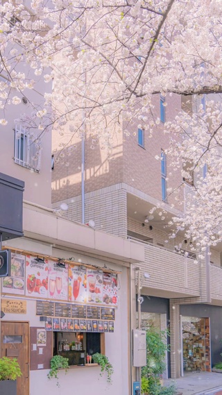 日系唯美-樱花街道