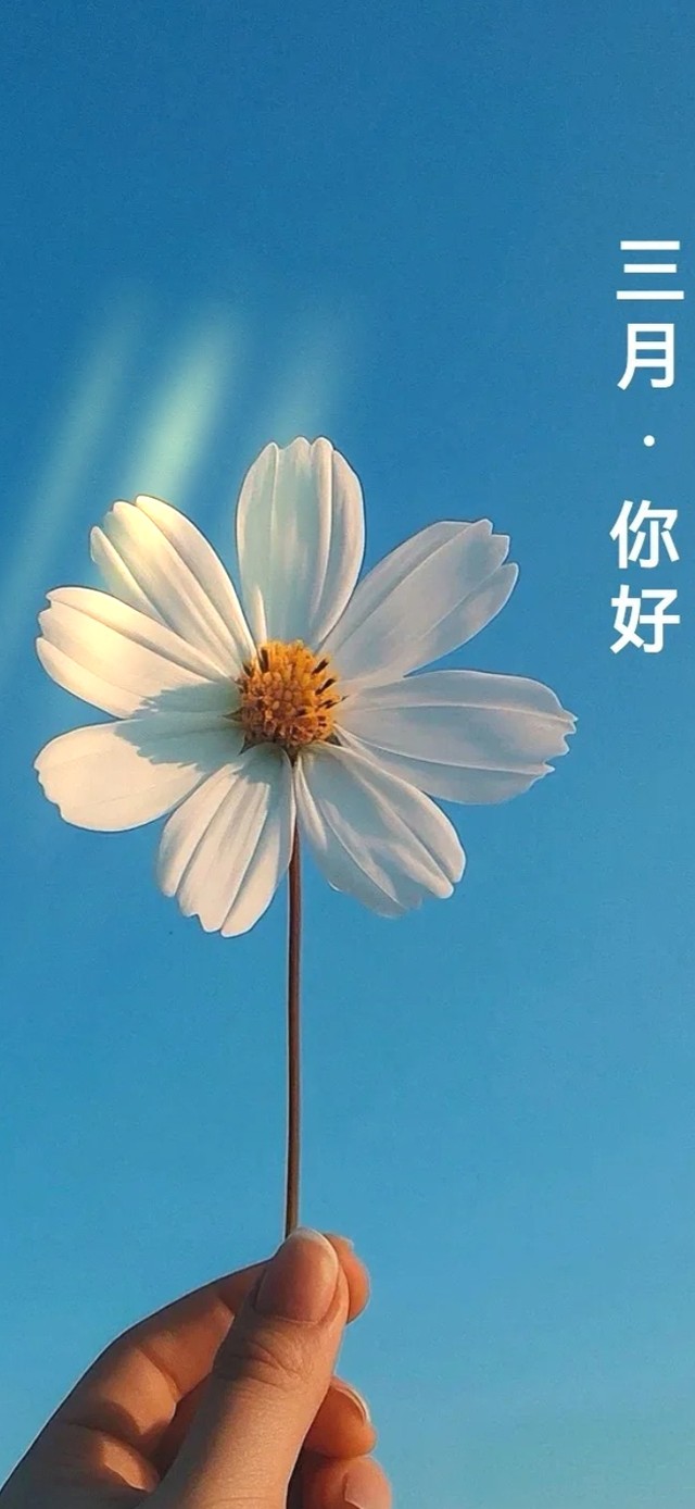 三月你好～春暖花开