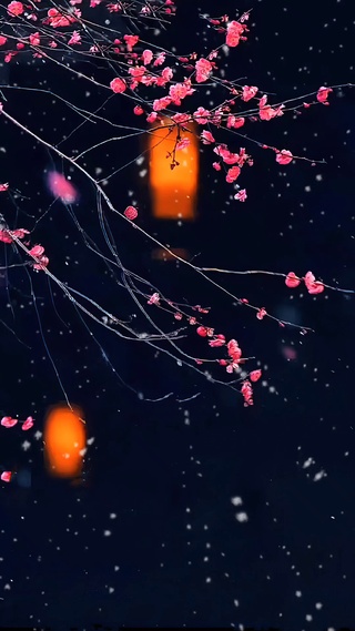 梅花