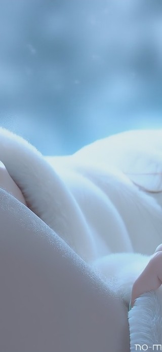 玉容寂寞泪阑干，梨花一枝春带雨