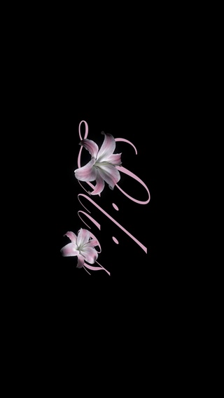 Black Lilies
