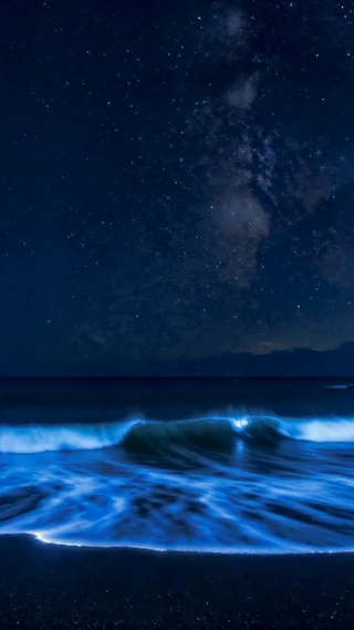 蓝眼泪星空海岸夜景