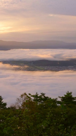 清晨高山云海 