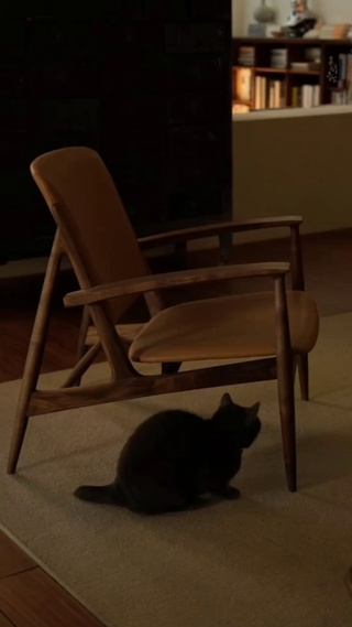 猫咪