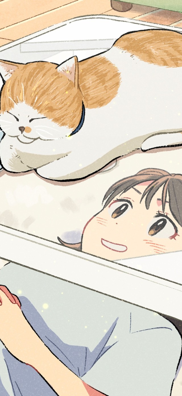 治愈温馨猫咪和女孩