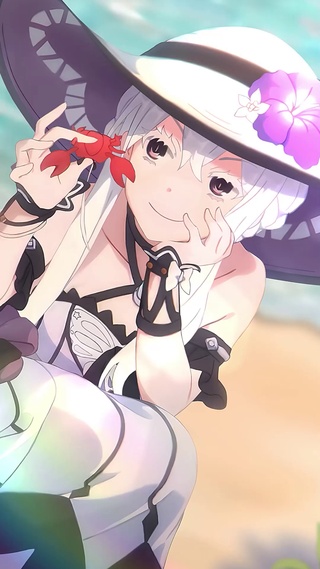 艾姬多娜