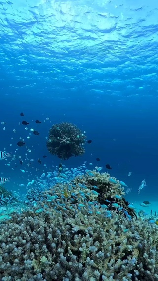 水底世界