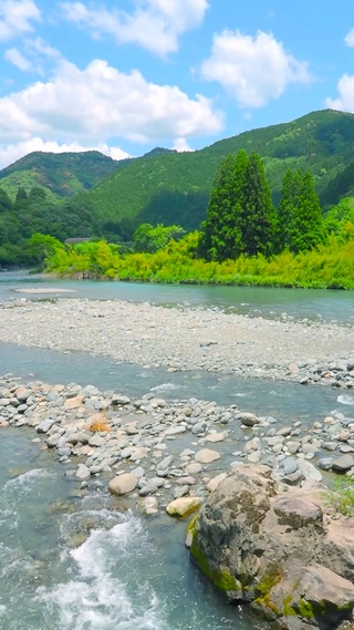 夏日青山河流