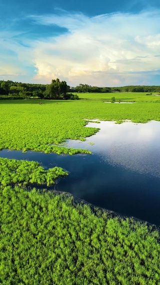 青青草原湖泊l