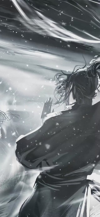 对峙于风雪天地之间(无限循环)