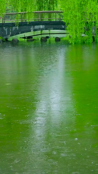 雨天公园水池