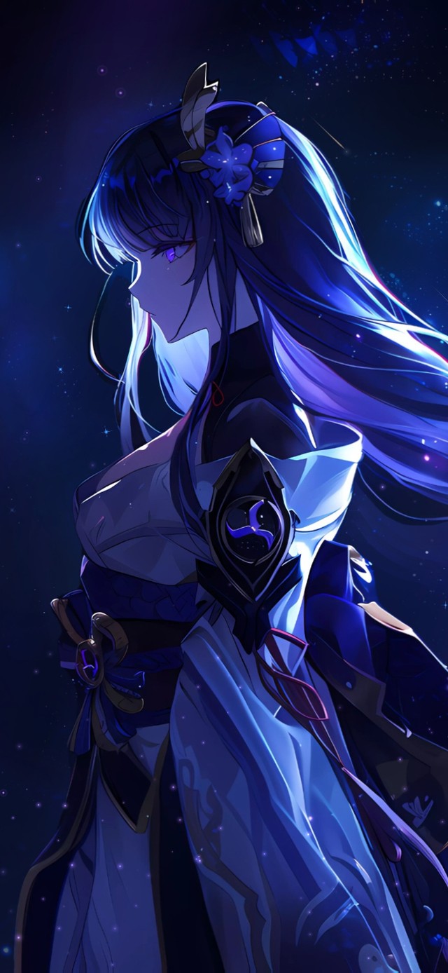 4K流星雨 极光星空 雷Sir