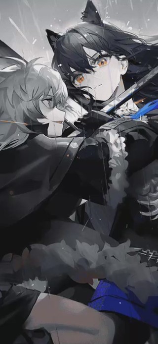 明日方舟双狼