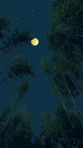 明月照沟渠