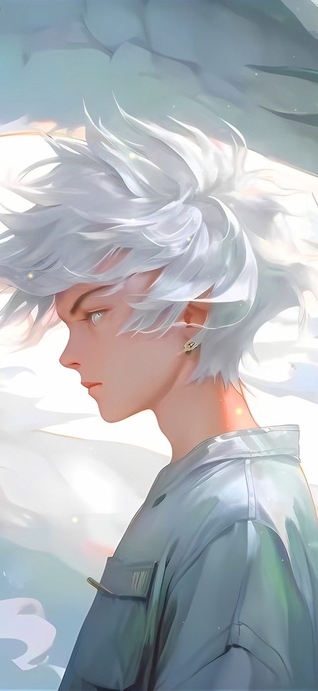 白龙少年