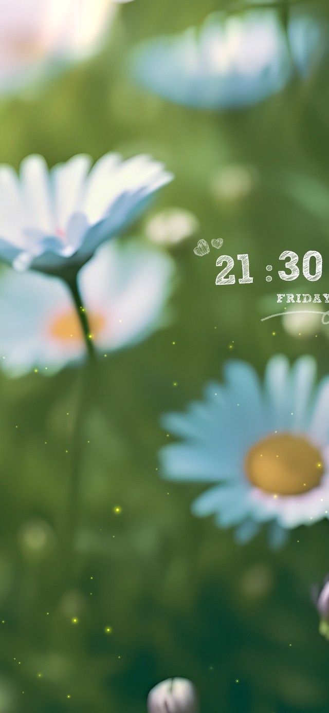 阳光下的小雏菊