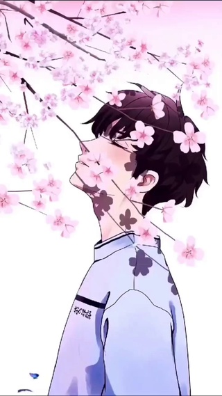 蝴蝶樱花