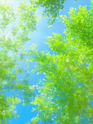 夏日风