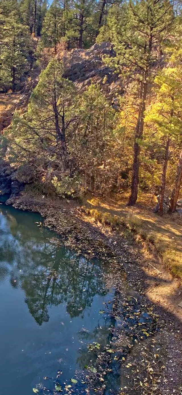 林中小湖（含时钟