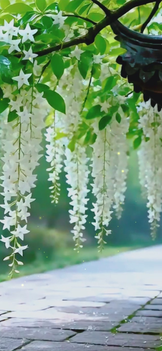湖边花下凉亭