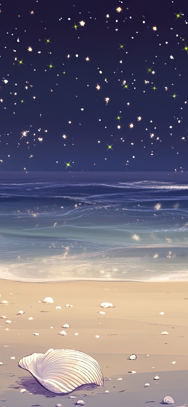 星空下的贝壳海滩