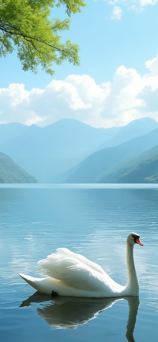 安静的风景