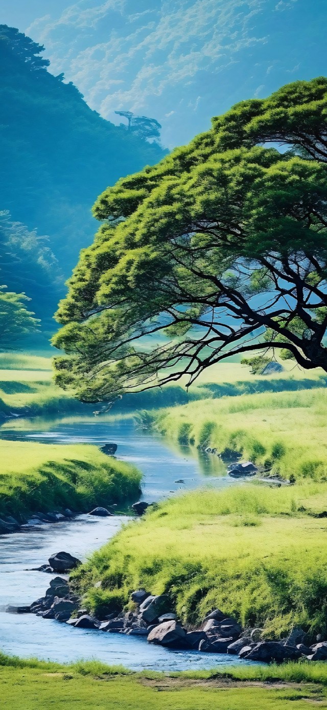 山谷溪流