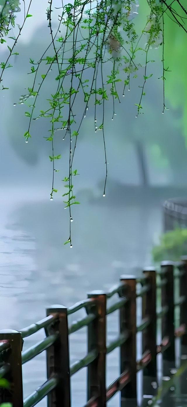 春雨绵绵