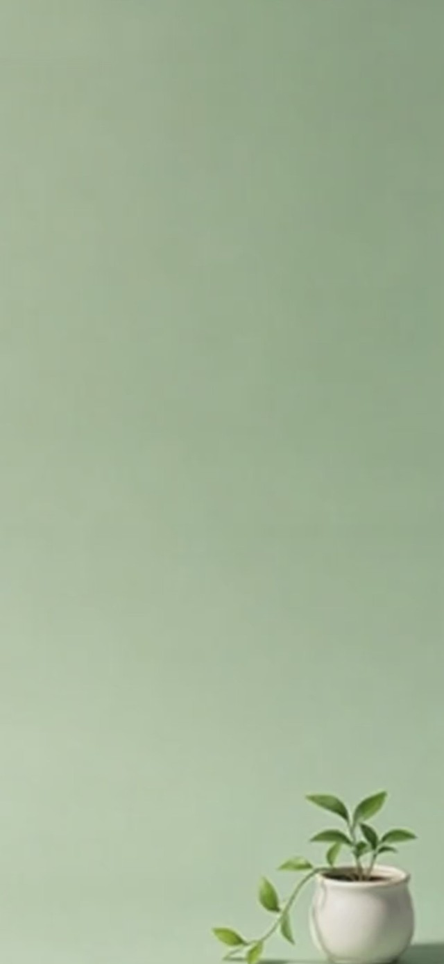 眼睛累了？看这盆绿植吧